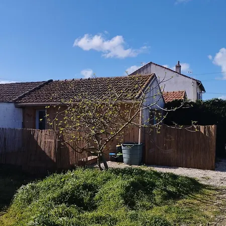 度假居 Au Bois Flotte - Tiny House