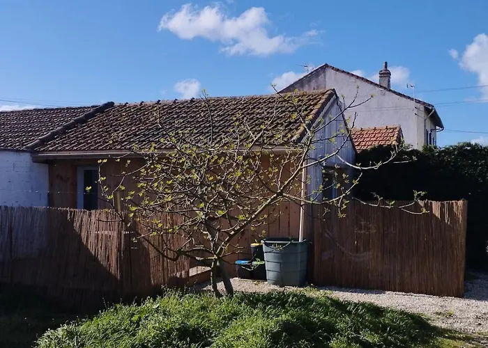 Holiday home Au Bois Flotte - Tiny House