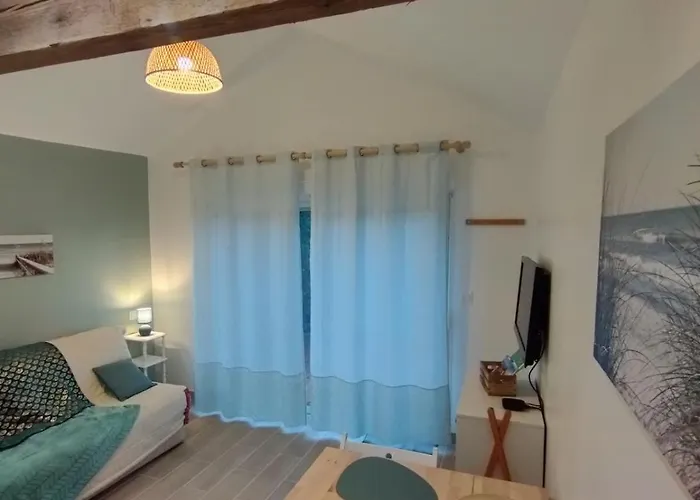 Au Bois Flotte - Tiny House Marennes (Charente-Maritime)